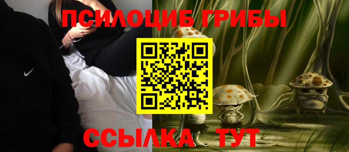 Галлюциногенные грибы мицелий  Псилоцибиновые грибы Psilocybe  Ефремов  Вход с VPN 